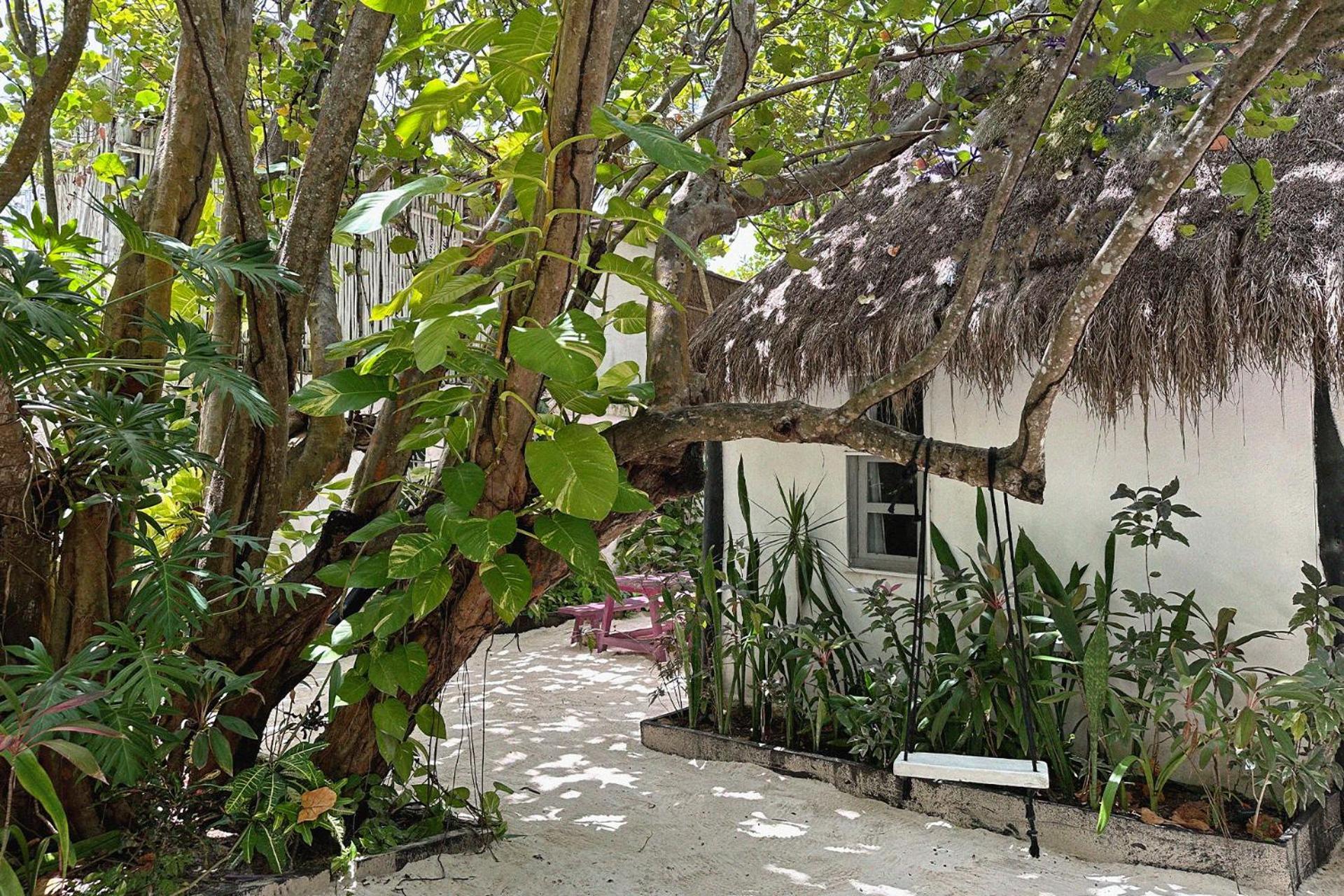 Coco Tulum Hotel 외부 사진